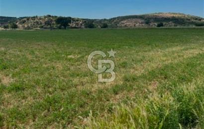 Şile Kurfallı 823 m2 arazi 