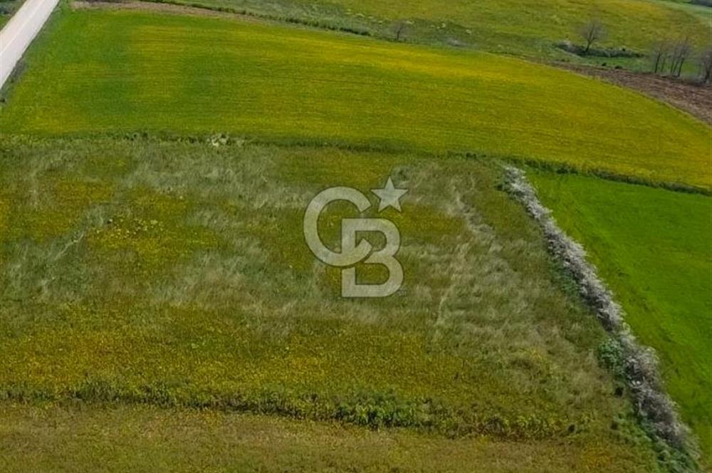 Şile Kurfallı 823 m2 arazi 