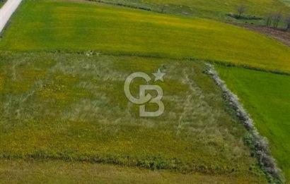 Şile Kurfallı 823 m2 arazi 