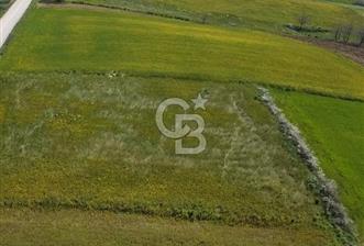 Şile Kurfallı 823 m2 arazi  - 1 - 358430