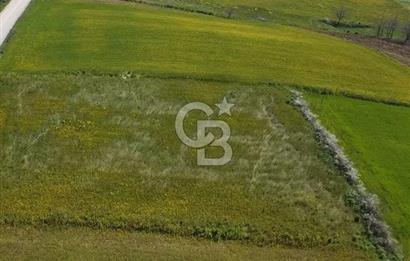 Şile Kurfallı 823 m2 arazi 