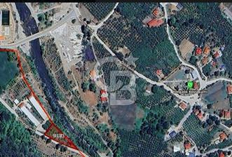 SAKARYA AKYAZIDA 2081 M2 FINDIKLIK - 1 - 358467