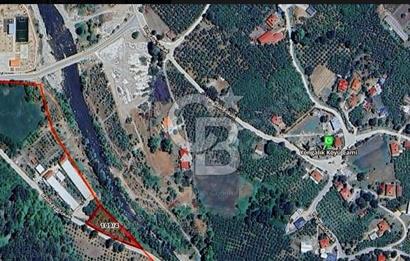 SAKARYA AKYAZIDA 2081 M2 FINDIKLIK
