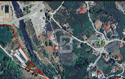 SAKARYA AKYAZIDA 2081 M2 FINDIKLIK