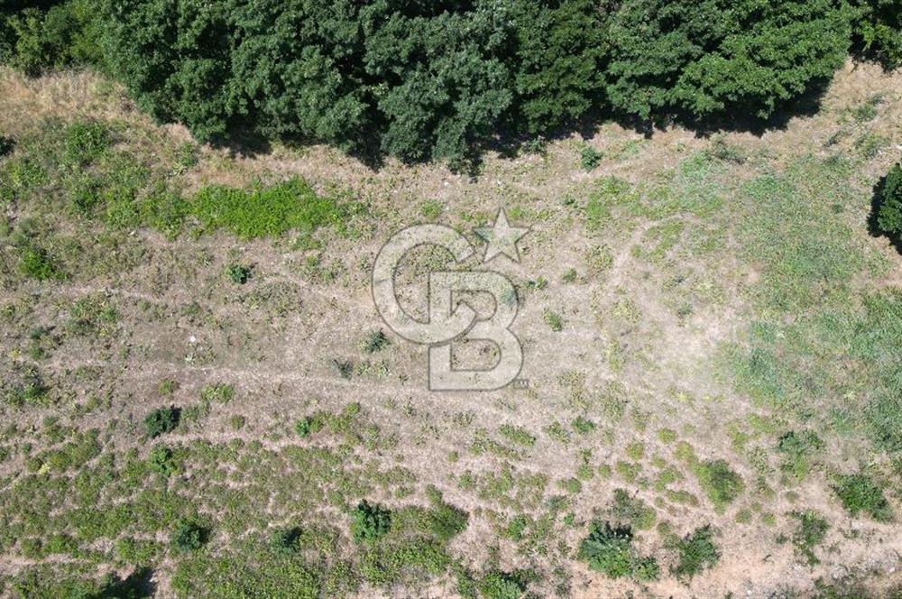 ÇANAKKALE MERKEZ DEDELER KÖYÜ 2892 M2 İMARLI FIRSAT ARSA !!!