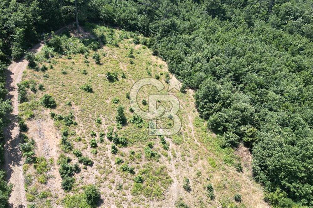 ÇANAKKALE MERKEZ DEDELER KÖYÜ 2892 M2 İMARLI FIRSAT ARSA !!!