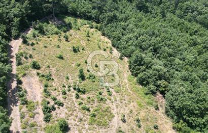 ÇANAKKALE MERKEZ DEDELER KÖYÜ 2892 M2 İMARLI FIRSAT ARSA !!!