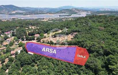 ÇANAKKALE MERKEZ DEDELER KÖYÜ 2892 M2 İMARLI FIRSAT ARSA !!!