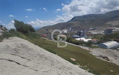 COLDWEEL BANKER'dn YILDIZTEPE de VİLLA İMARLI 505m² SATILIK ARSA