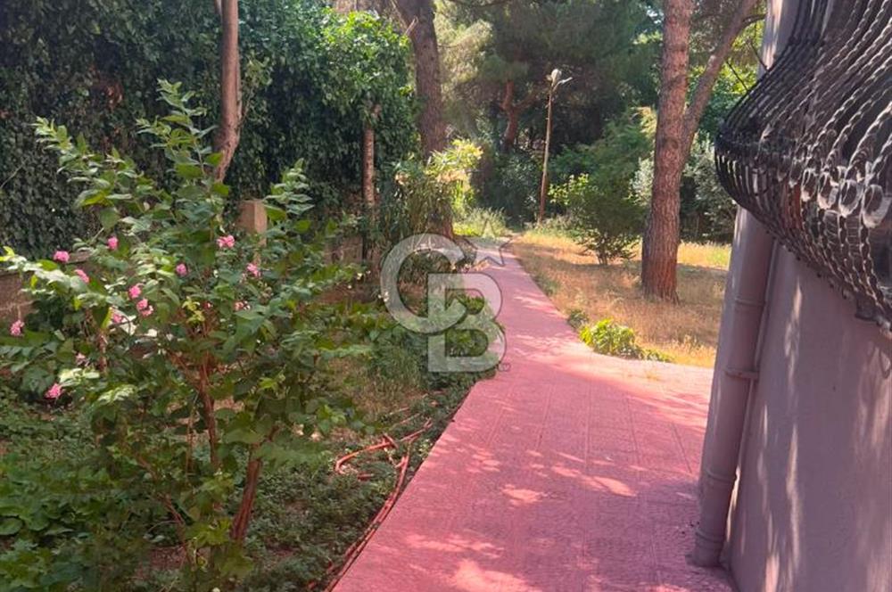 KİRALIK 2+1 DAİRE | ETİLER TEPECİK YOLU | YEŞİLLİKLER İÇİNDE