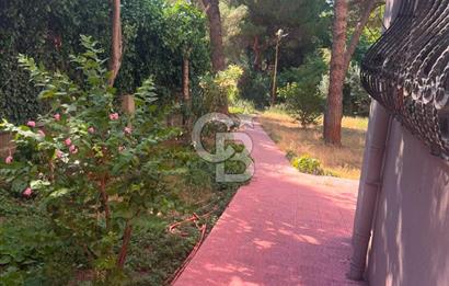 KİRALIK 2+1 DAİRE | ETİLER TEPECİK YOLU | YEŞİLLİKLER İÇİNDE