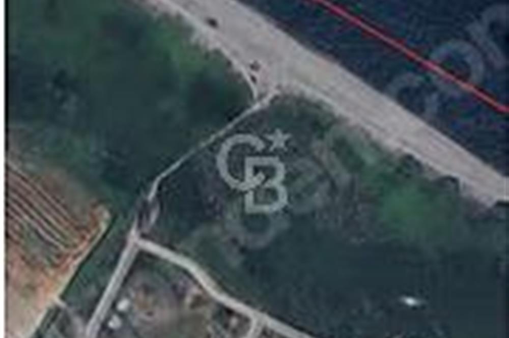 ÇANAKKALE BİGA DENİZ KIYISINDA ARSA