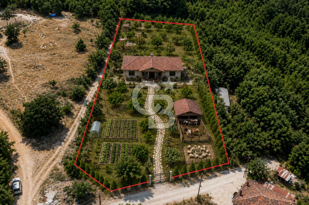 ÇANAKKALE MERKEZ DEDELER KÖYÜ 2892 M2 İMARLI FIRSAT ARSA !!!