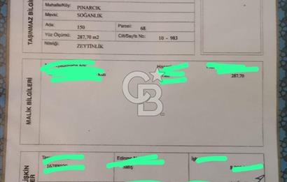 Milas Pınarcıkta Yatırımlık Zeytinlik