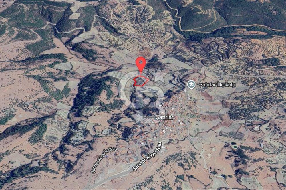 MANİSA / SARUHANLI SATILIK 5.960 m² ZEYTİNLİK