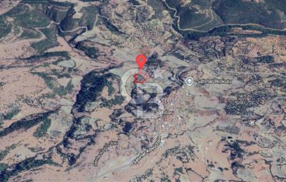 MANİSA / SARUHANLI SATILIK 5.960 m² ZEYTİNLİK