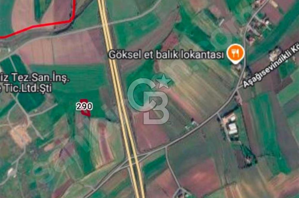 TÜRKİYENİN EN DEĞERLİ BÖLGELERİNDEN OLAN TEKİRDAĞ'DA KAÇIRILMAYACAK FIRSAT TARLA