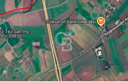 TÜRKİYENİN EN DEĞERLİ BÖLGELERİNDEN OLAN TEKİRDAĞ'DA KAÇIRILMAYACAK FIRSAT TARLA