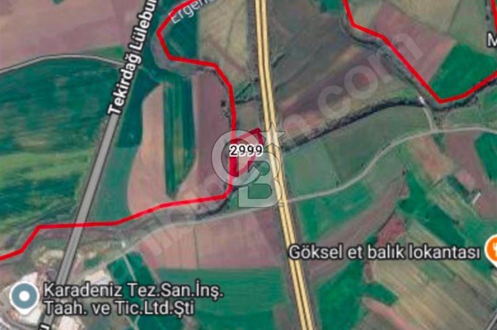 TEKİRDAĞ MURATLI'DA SATILIK YATILIMLIK FIRSAT TARLA