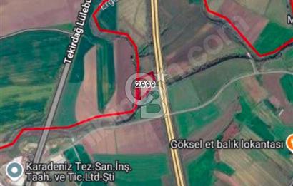 TEKİRDAĞ MURATLI'DA SATILIK YATILIMLIK FIRSAT TARLA