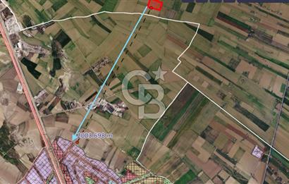 SİNCAN İLYAKUT'TA, TAİ VE HAB OSB YAKINI, 5.930 m² SATILIK TARLA