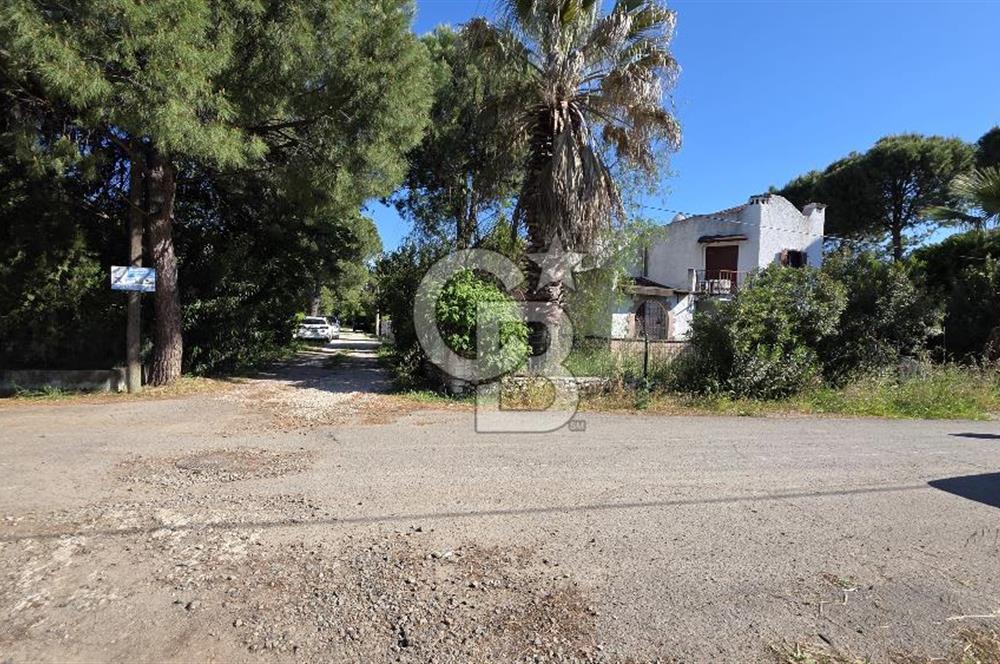 Ayvalık Altınova da Deniz Manzaralı Asansörlü 5+1 Satılık Villa 