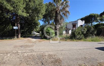 Ayvalık Altınova da Deniz Manzaralı Asansörlü 5+1 Satılık Villa 