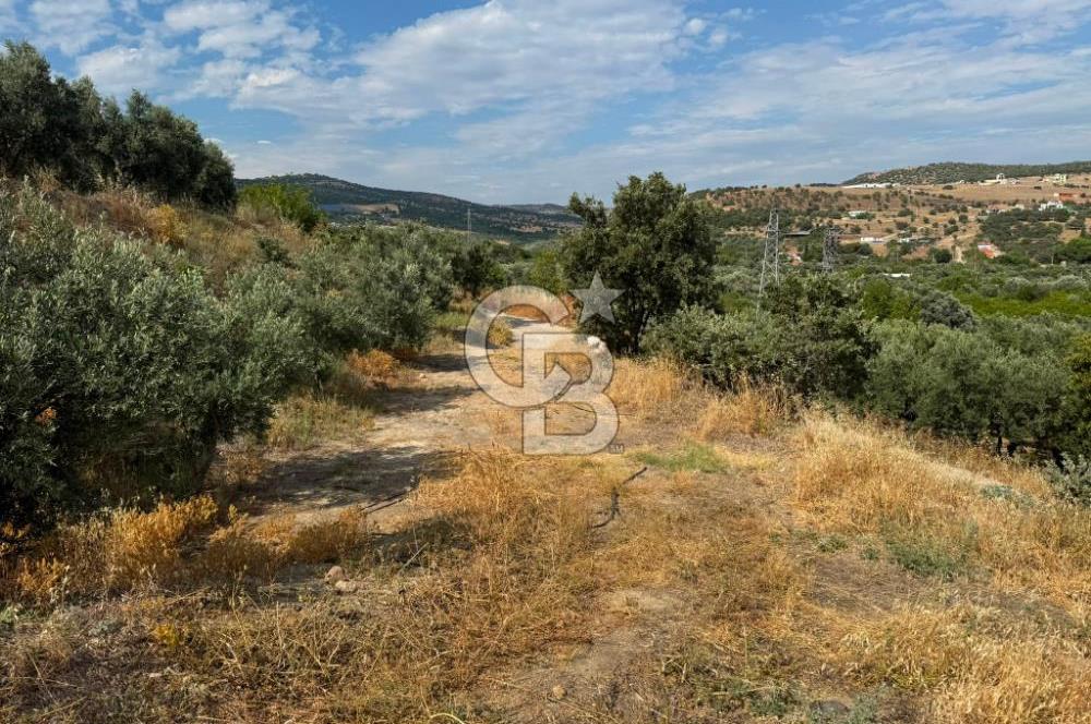 Menemen Süleymanlı'da Köye 500m Mesafede Satılık 222 m² Tarla