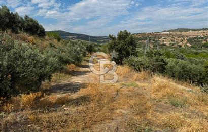 Menemen Süleymanlı'da Köye 500m Mesafede Satılık 222 m² Tarla