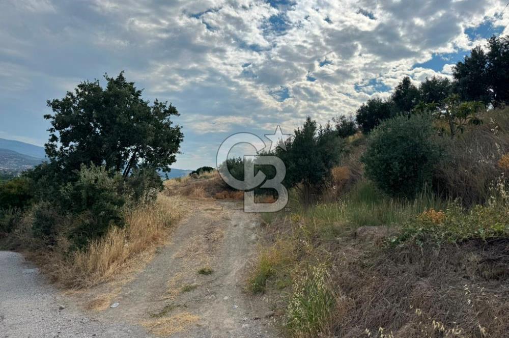 Menemen Süleymanlı'da Köye 500m Mesafede Satılık 222 m² Tarla