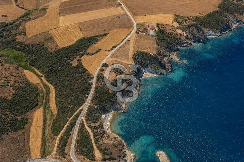 Biga Değirmencikte Deniz Manzaralı 7700 m2 Köy İmarlı Arsa