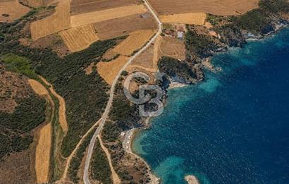 Biga Değirmencikte Deniz Manzaralı 7700 m2 Köy İmarlı Arsa