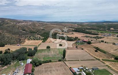 ASFALT YOLA CEPHE 6.063 M2 SATILIK TARLA!!