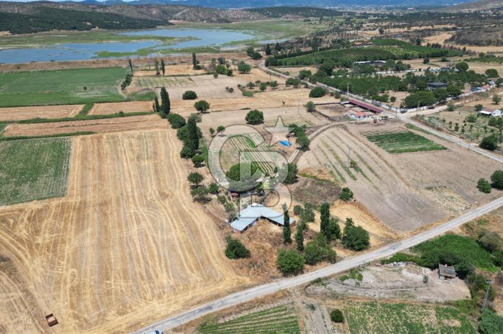 ASFALT YOLA CEPHE 6.063 M2 SATILIK TARLA!!