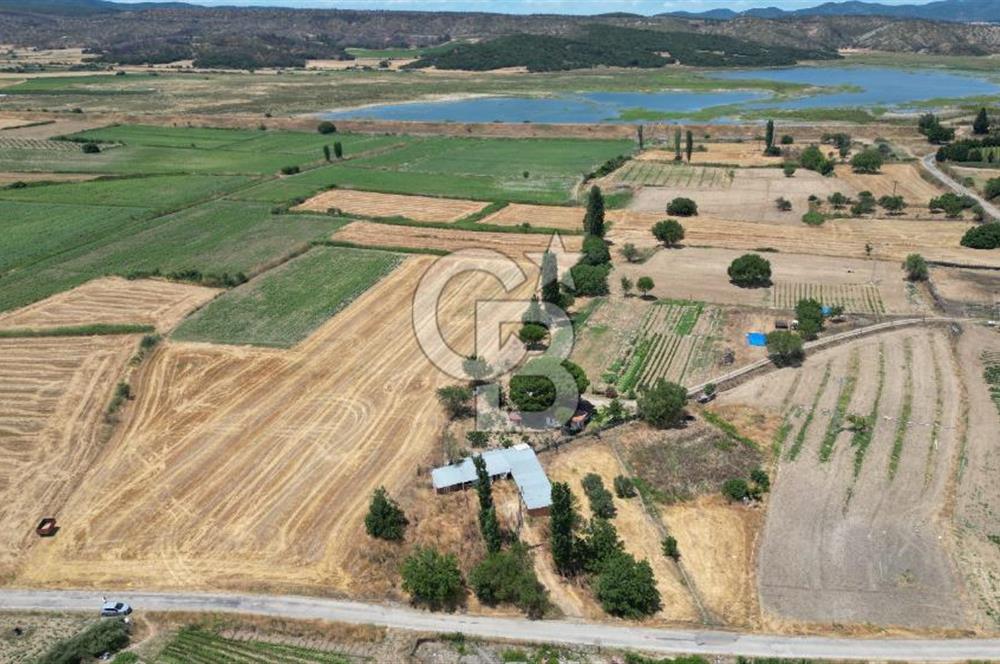 ASFALT YOLA CEPHE 6.063 M2 SATILIK TARLA!!