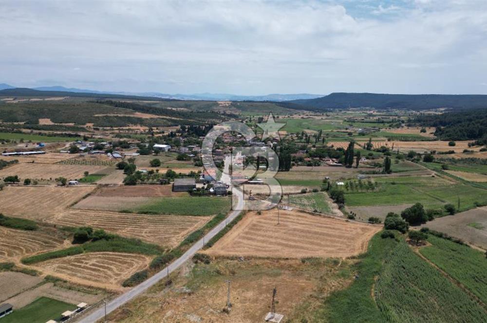 ASFALT YOLA CEPHE 6.063 M2 SATILIK TARLA!!