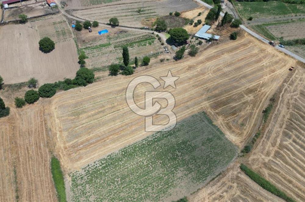 ASFALT YOLA CEPHE 6.063 M2 SATILIK TARLA!!