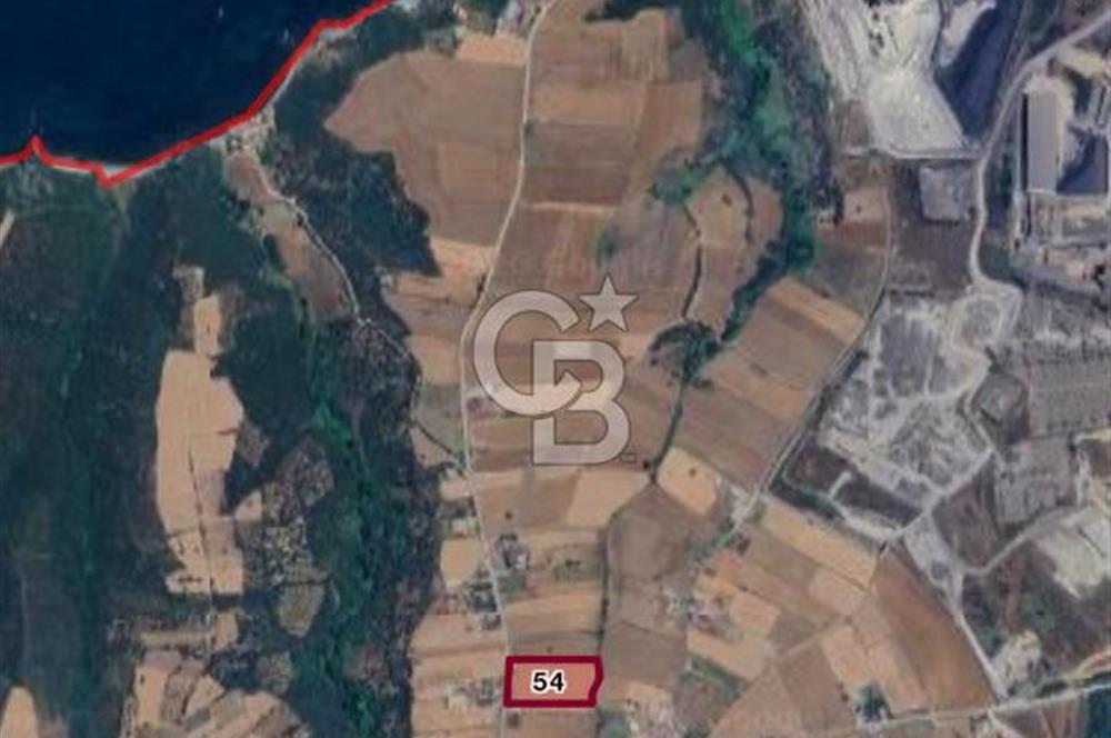 Biga Değirmencikte Deniz Manzaralı 7700 m2 Köy İmarlı Arsa