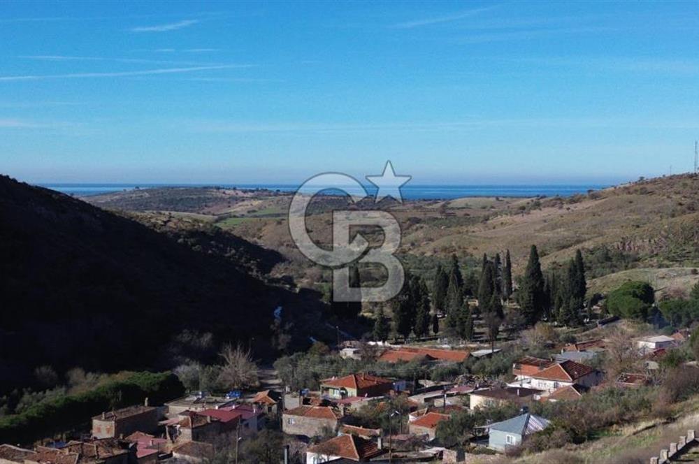 Çanakkale Babadere Köy Yolu Üzerinde 21.120 m2 Satılık Arsa