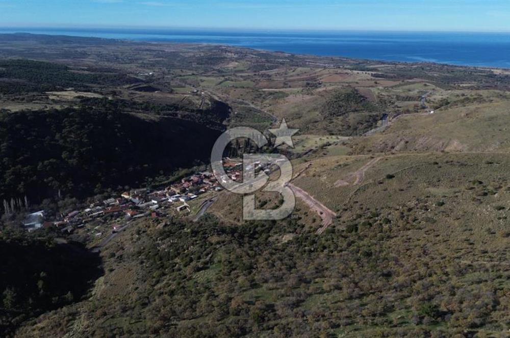 Çanakkale Babadere Köy Yolu Üzerinde 21.120 m2 Satılık Arsa