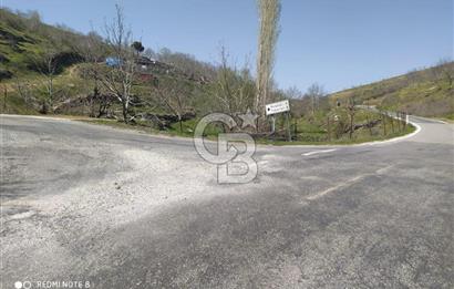 Tire Dağdere'de Su Kaynaklı, Yola Cephe Ceviz Bahçesi"