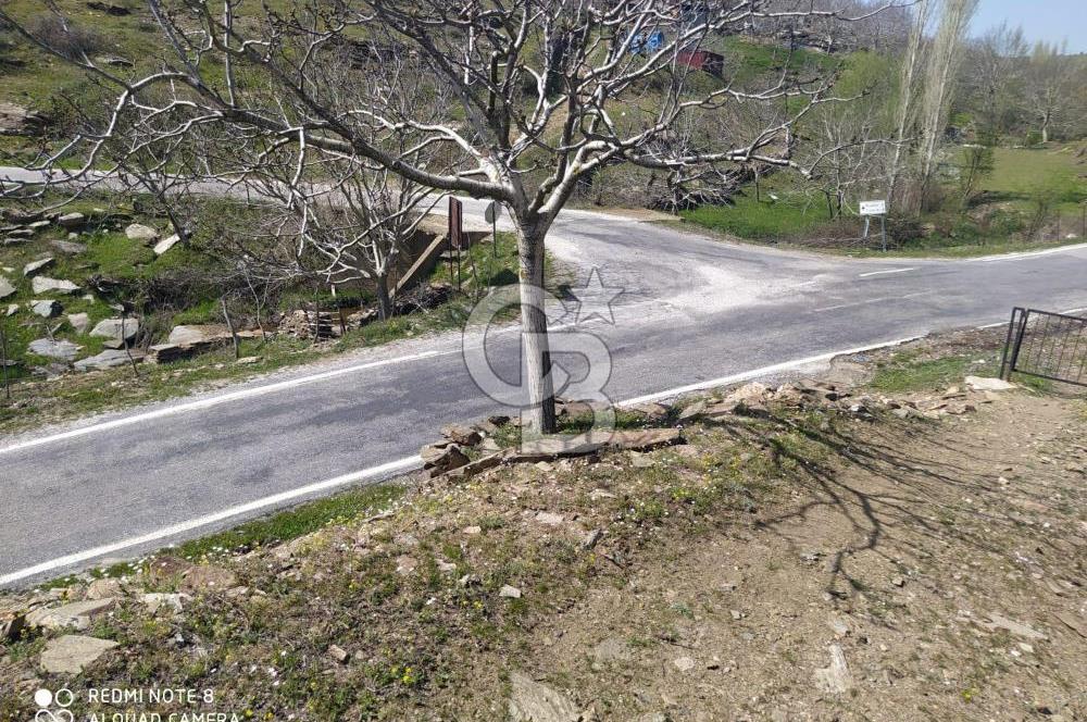 Tire Dağdere'de Su Kaynaklı, Yola Cephe Ceviz Bahçesi"