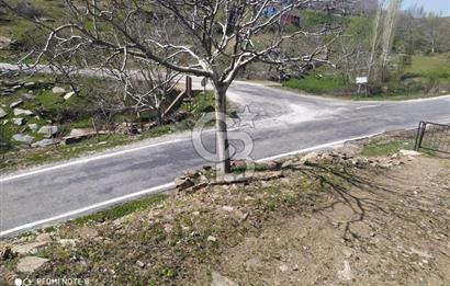 Tire Dağdere'de Su Kaynaklı, Yola Cephe Ceviz Bahçesi"