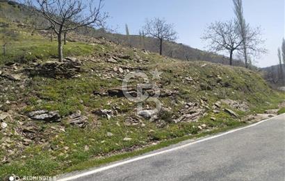 Tire Dağdere'de Su Kaynaklı, Yola Cephe Ceviz Bahçesi"