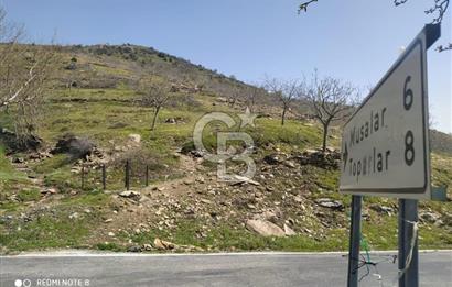 Tire Dağdere'de Su Kaynaklı, Yola Cephe Ceviz Bahçesi"