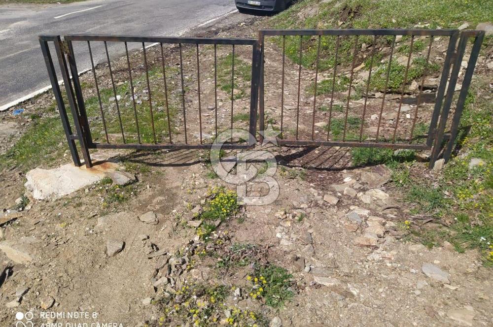 Tire Dağdere'de Su Kaynaklı, Yola Cephe Ceviz Bahçesi"