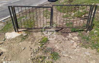 Tire Dağdere'de Su Kaynaklı, Yola Cephe Ceviz Bahçesi"
