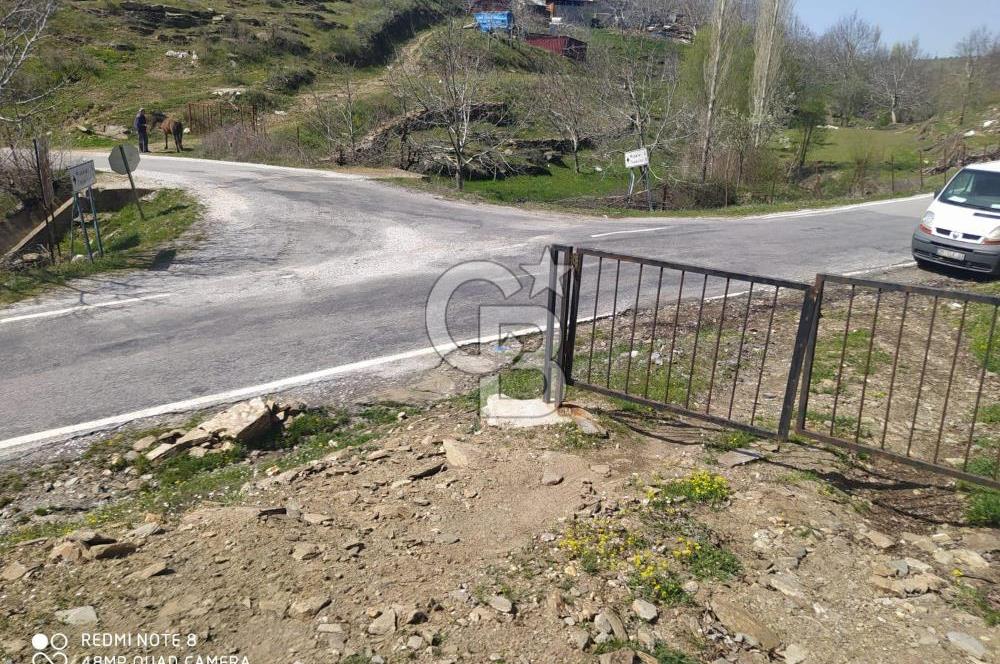Tire Dağdere'de Su Kaynaklı, Yola Cephe Ceviz Bahçesi"