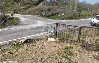 Tire Dağdere'de Su Kaynaklı, Yola Cephe Ceviz Bahçesi"