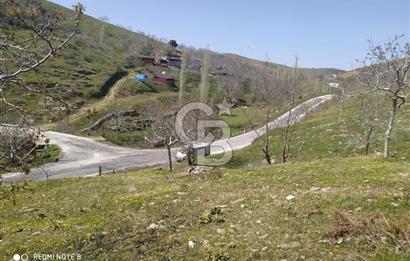 Tire Dağdere'de Su Kaynaklı, Yola Cephe Ceviz Bahçesi"